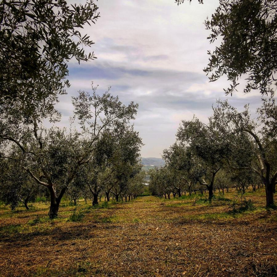 Villa Alessi - Dimora Storica Racalmuto Buitenkant foto