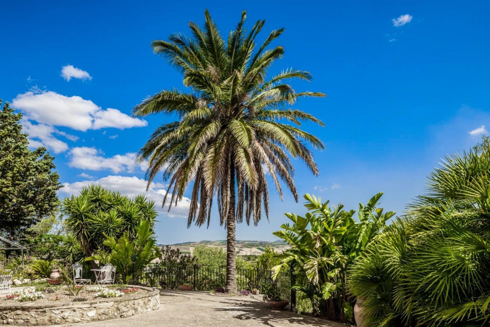 Villa Alessi - Dimora Storica Racalmuto Buitenkant foto